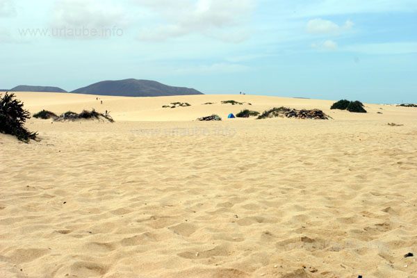 Blick auf die Sandd&uuml;nen von Corralejo vom Strand aus