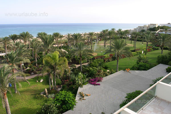 Blick auf die Pool-Landschaft
