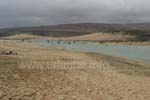 Windsurfing-Kurs in der Lagune zwischen Strand und Nehrung