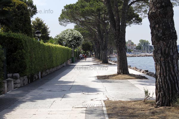 Uferpromenade mit Schatten spendenden B&auml;umen