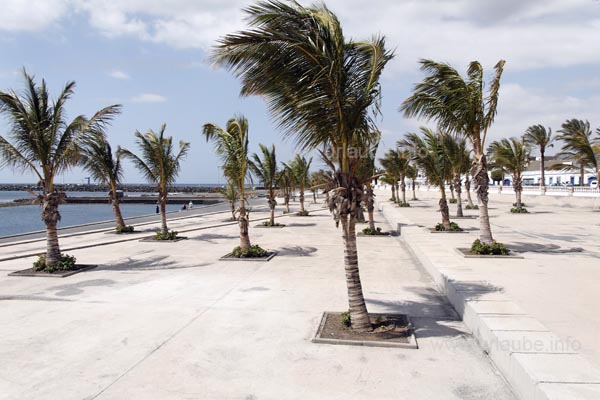 Viele Palmen schm&uuml;cken den Platz zur Promenade hin.