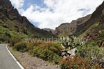Die Fahrt durch die Barranco de Guayadeque eröffnet einem ein spektakuläres Panorama, das einen an amerikanische Canyons erinnert.