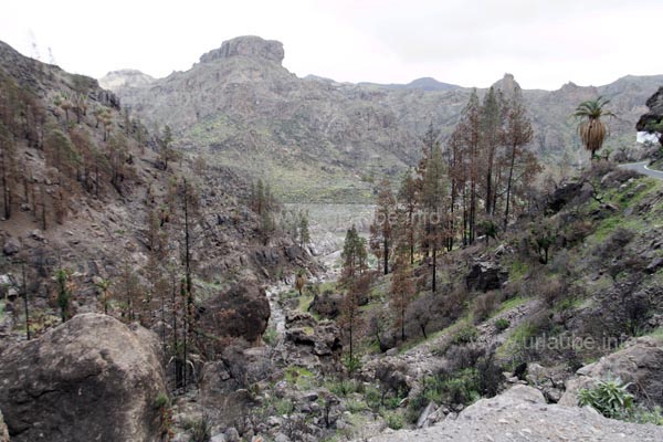 Oftmals f&uuml;hrt der Soria See nur wenig Wasser und ist kaum durch die B&auml;ume des Parkplatzes vor Ort zu erkennen.