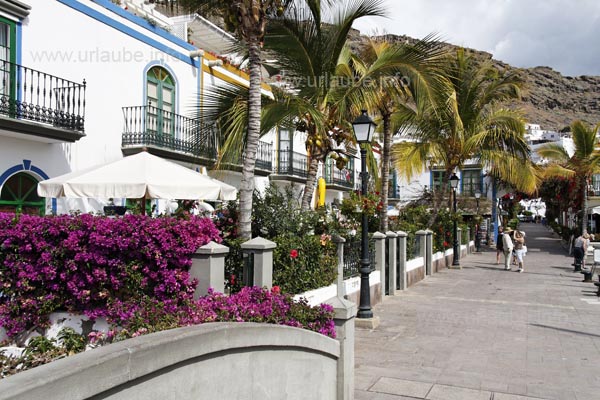 Das Bild von Puerto de Mog&agrave;n wird unter anderem durch zahlreiche blumengeschm&uuml;ckte kleine H&auml;uschen gepr&auml;gt.