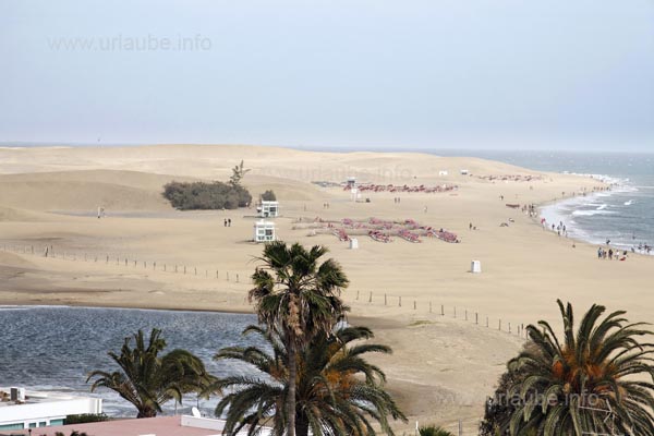 Die D&uuml;nen von Maspalomas scheinen sich bis ins Unendliche zu erstrecken.