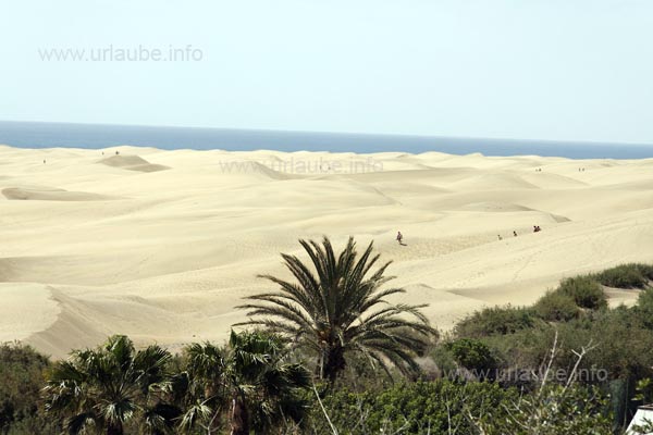 Auch die D&uuml;nen bei Playa del Ingl&eacute;s lassen W&uuml;stenfeeling aufkommen.