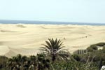 Auch die Dünen bei Playa del Inglés lassen Wüstenfeeling aufkommen.