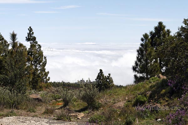 Bei den H&ouml;henverh&auml;ltnissen im Zentralmassiv kommt man schnell in Kontakt mit den Wolken. Solange man sie vor sich hat oder &uuml;ber ihnen ist, ist die Welt in Ordnung.