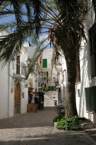 Gasse in Dalt Vila