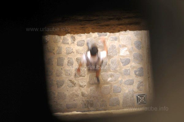 Buhera &uuml;ber dem Portal Nou