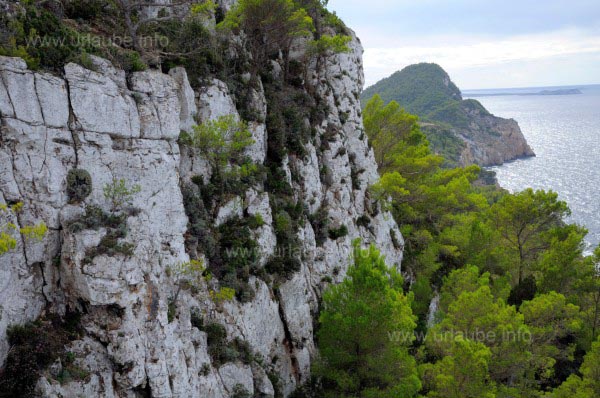Die Klippen von Punta Roja