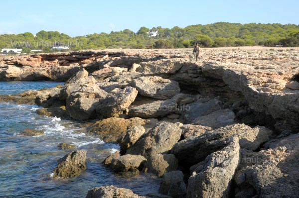 Felsenk&uuml;ste an der Cala Bassa