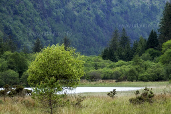 Irland