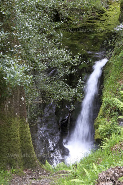 Irland