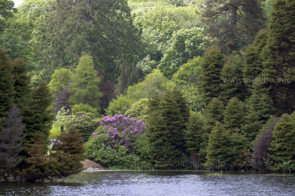 Irland