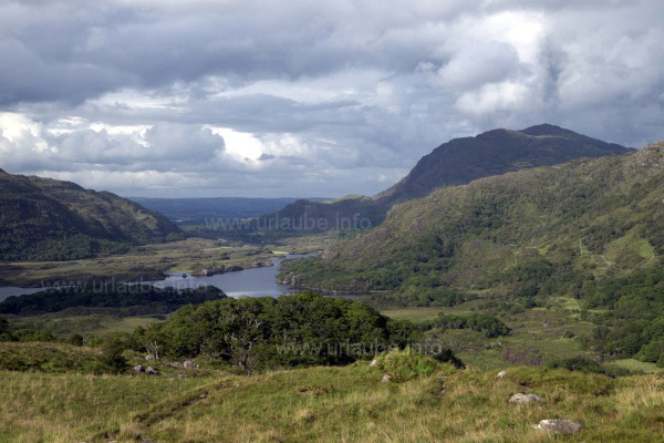 Irland