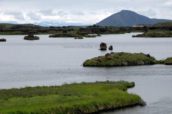 Landschaft am Myvatn