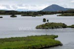 Landschaft am Myvatn