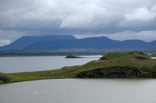 Landschaft am Myvatn