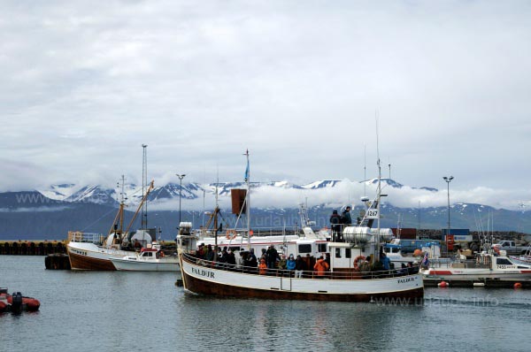 Hafen in H&uacute;savik