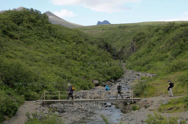 Wanderung im Nationalpark Skaftafell