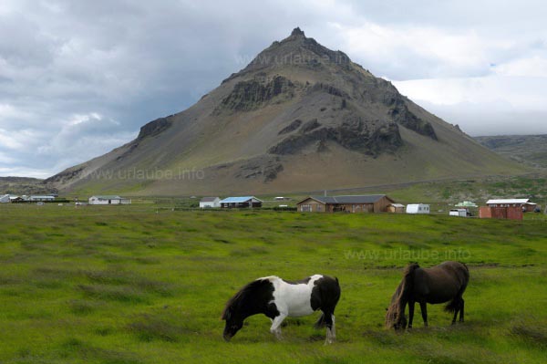 Arnarstapi auf der Halbinsel Sn�fellsnes