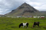 Arnarstapi auf der Halbinsel Snfellsnes