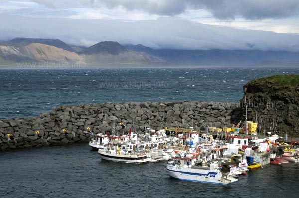 Der Hafen von Arnarstapi
