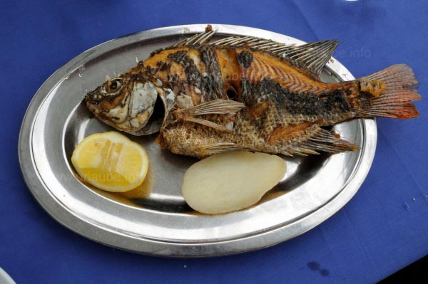 Petrusfisch aus dem See Genezareth