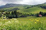 Weideland an den Hängen des Tacontales nördlich von Les Bouchoux und das Felsband des 1130m hohen Sur la Chrochere