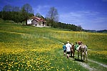 Östlich von les Moussieres auf dem Weg in das Hochtal von Bell Combe