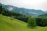 Im Ruisseau de Chapy auf dem Weg nach Septmoncel