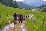 Weitere Gäste für das Gite La Grenotte. Der Jura ist auch eine gute Adresse für Reitertrekking.