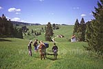 Südöstlich von Lajoux auf dem Weg nach La Guienette 