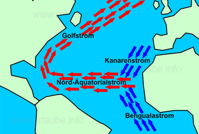 Der Kanarenstrom nährt den Nord-Äquatorialstrom mit frischem, kühlen Meerwasser.