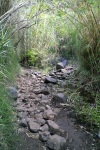 LaGomera