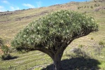 LaGomera