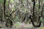 LaGomera