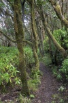 LaGomera