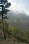 Hohe Berge und tiefe Schluchten prägen La Palma.