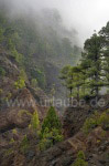 Landschaft in der Caldera de Taburiente