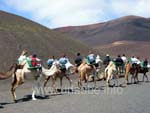 Mit Kamelen durch den Timanfaya Nationalpark