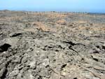 Lavafeld im Timanfaya Nationalpark