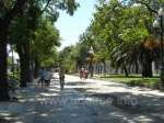 Die Promenade von der Plaza de Cibeles in Richtung der Biblioteca Nacional
