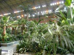 Die wahrscheinlich tropischste Bahnhofshalle, die es gibt: Atocha 