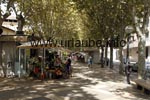 Rambla