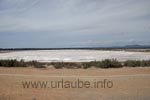 Salines de Llevant