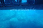 Unterwasserkammer des Katamarans