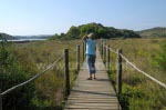 Hölzerne Stege durch den Naturparks