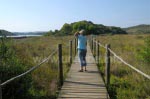 Hölzerne Stege durch den Naturparks